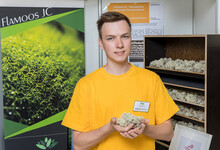 Projekt Flamoos Junior-Company – Biologischer Luftreiniger für Innenräume